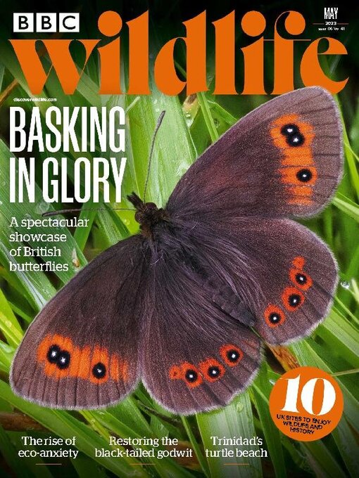 Title details for BBC Wildlife Magazine by Our Media Limited - Available